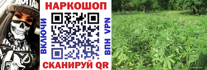 Где найти наркотики Бикин A PVP Мефедрон Бошки Шишки Псилоцибиновые грибы COCAIN
