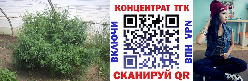 Дистиллят ТГК концентрат Бикин